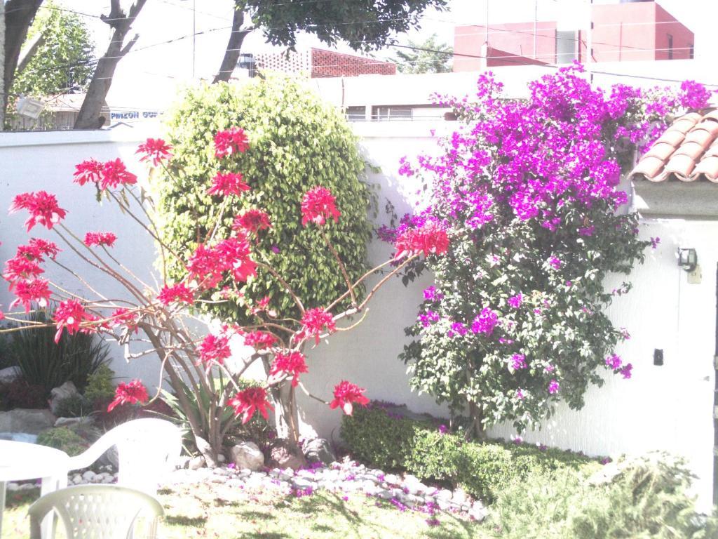 Casa Puebla La Paz 빌라 외부 사진